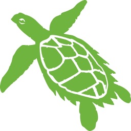 Ranger Hawksbill