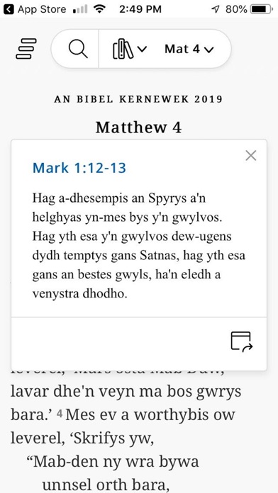 Bibel Sans screenshot 4