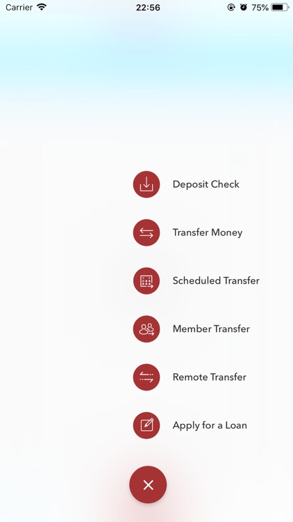 Credit Union of Ohio screenshot-3
