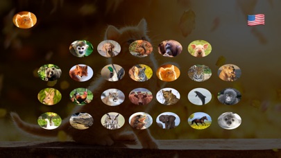 【图】Animal Pad Sounds(截图1)