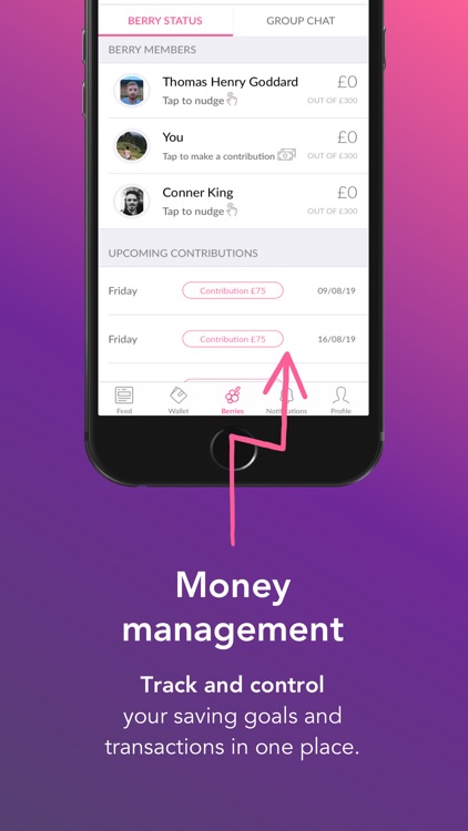 MoneyBerry App screenshot-3