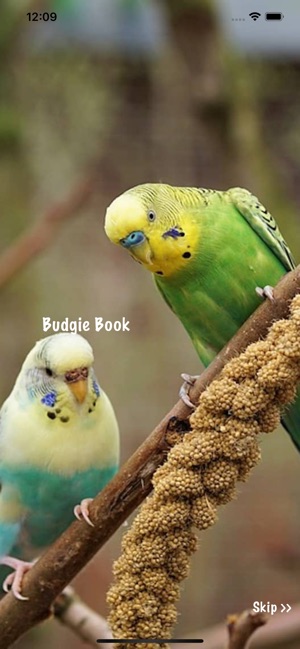 Budgie Book(圖1)-速報App