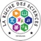 Our school, La Ruche des Sciences is a trilingual private school, it welcomes preschool children and students from primary to bachelor