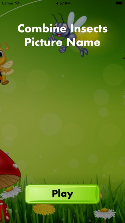 Combine Insects Picture Name