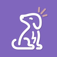 Petly App sur PC