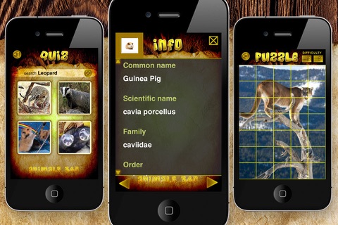 Animals 360 Gold screenshot 4