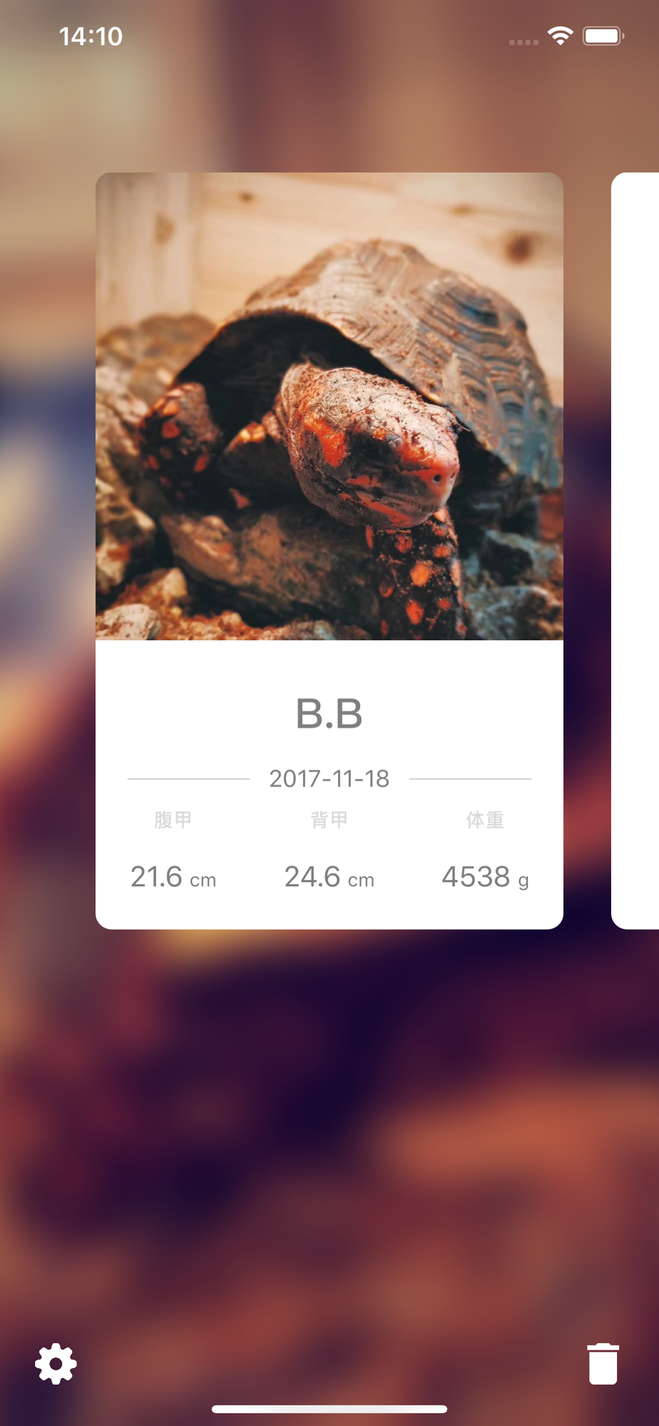 吾龟 记录乌龟生长 制作生长曲线download App For Iphone Steprimo Com