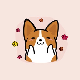 LittleCorgi