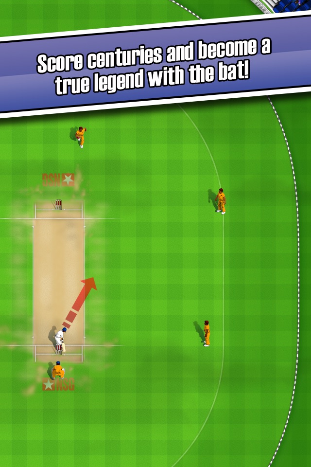 New Star Cricket screenshot 2
