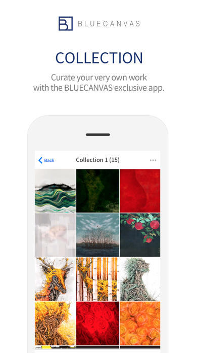 BLUECANVAS screenshot 4