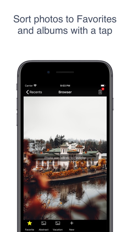 Swipe: Photo Organizer