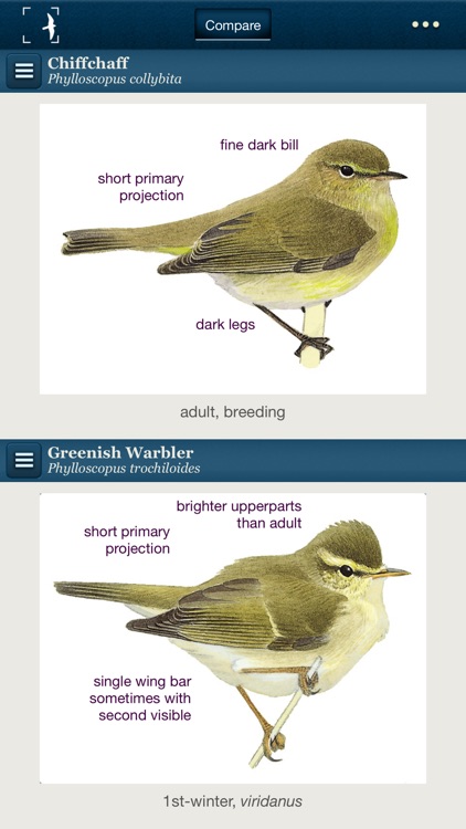 Birds of Northern Europe