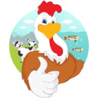 Poultry 365 - دواجن 365‎