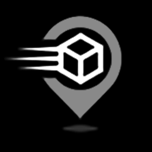 SpeedsterNow Driver