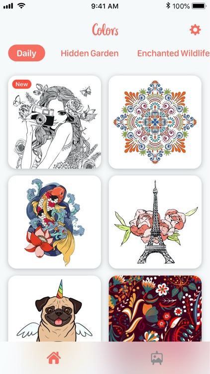 Adult Coloring Book: Colors