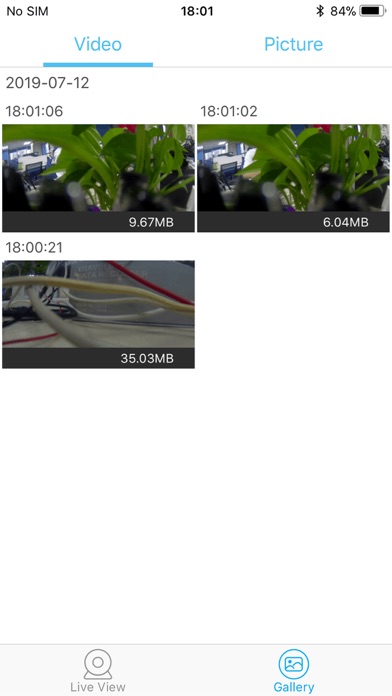 Blaupunkt DVR Dashcam screenshot 2