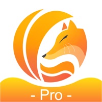 翼狐 设计专业版 pour PC