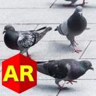 Top 29 Games Apps Like Anywhere Pigeon AR - Best Alternatives