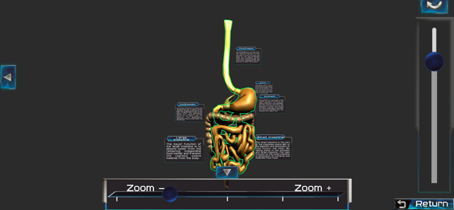 Human anatomy system & parts(圖3)-速報App