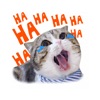 World's Cutest Cat Sticker Emo