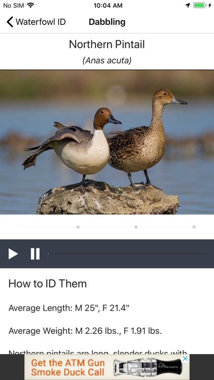 Ducks Unlimited screenshot-4
