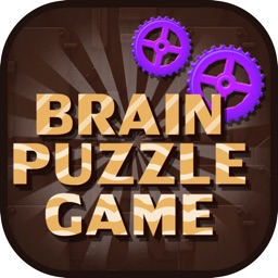 Brain Puzzles Game