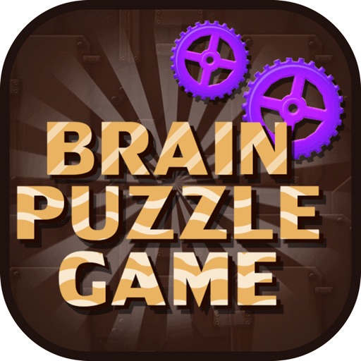 Brain Puzzles Game