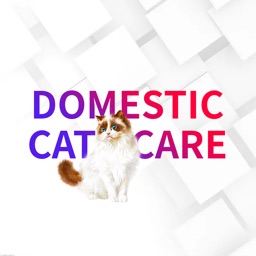 Domestic Cat Care