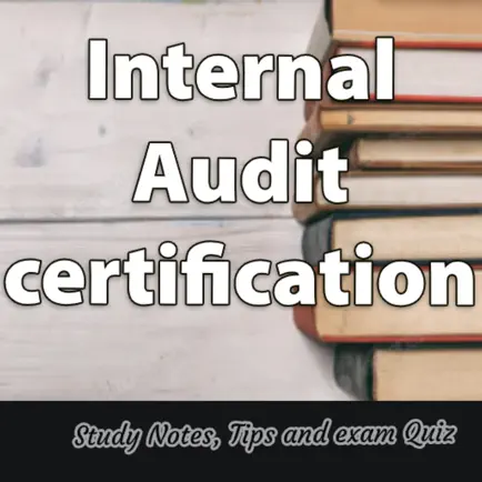 Internal Audit Exam Part1 Читы