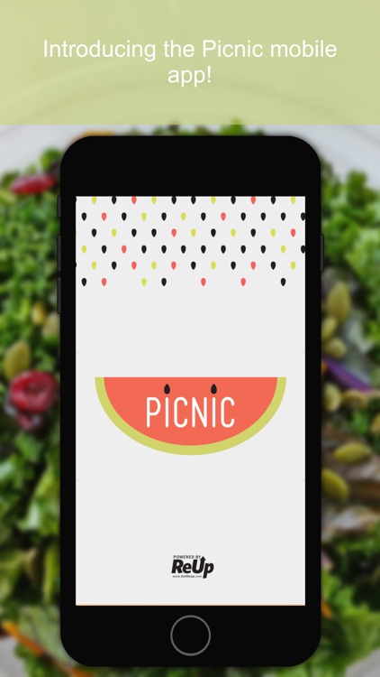 Picnic Food: Smoothie & Juice