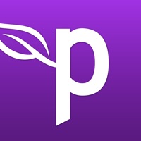 Perch Mobility pour PC