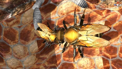 Bee Nest Simulator Full screenshot 4
