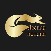 Лесная поляна  Раменское