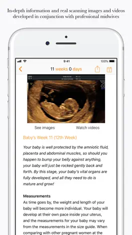 Game screenshot Your pregnancy - Day by Day apk