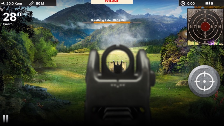 Wild Boar Target Shooting