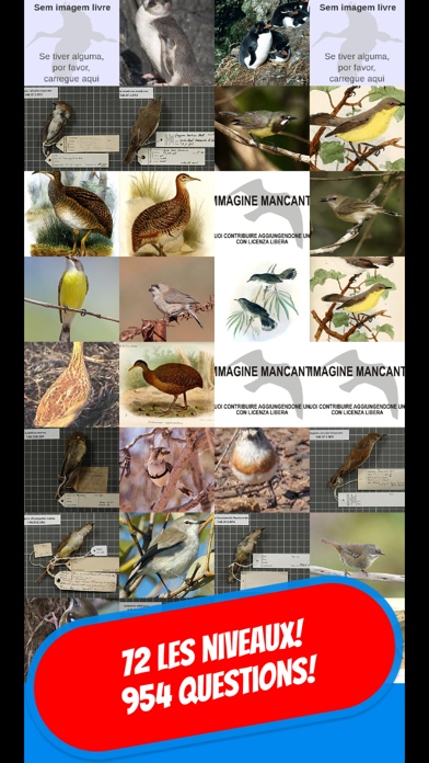 Screenshot #1 pour LES OISEAUX Quiz français