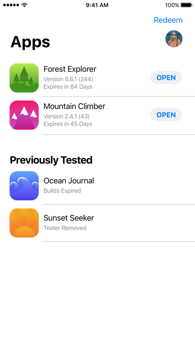 TestFlight Screenshot on iOS