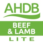 Beef  Lamb Lite