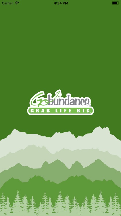 Go-Bundance