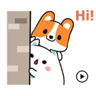 Animated Chubby Cat And Corgi