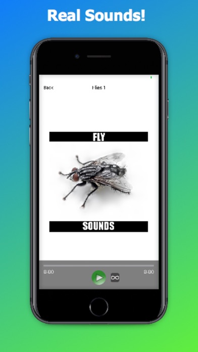 Fly Sounds! screenshot 3