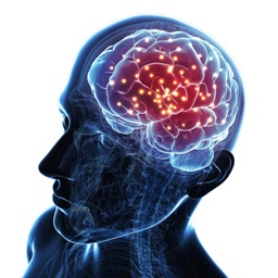 Brain Metrix Training Game By Lien Nguyen Thi Kim