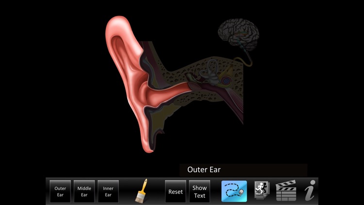 Ear ID