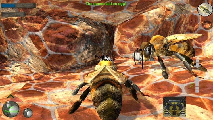 Bee Nest Simulator Full By Mnhksdevelopment