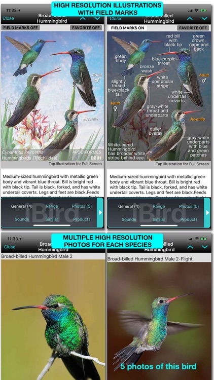 iBird Ultimate Guide to Birds screenshot-9