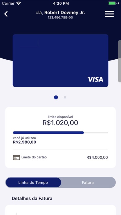 Cartão BIB screenshot 2