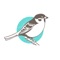 Turn your smartphone into a Sparrow Coffee pre-order and loyalty card