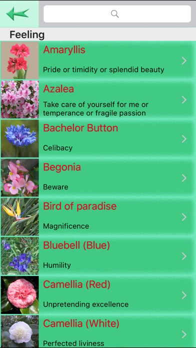 Flowers Language screenshot 2