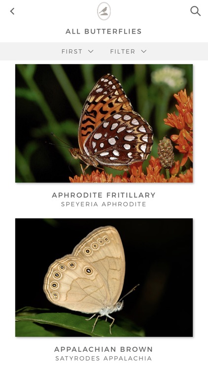 Fieldstone Guide: Butterflies screenshot-2