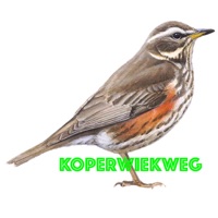 Koperwiekweg pour PC